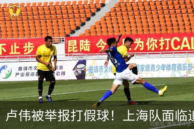 卢伟被举报打假球！上海队面临追罚，张镇麟坑惨球队
