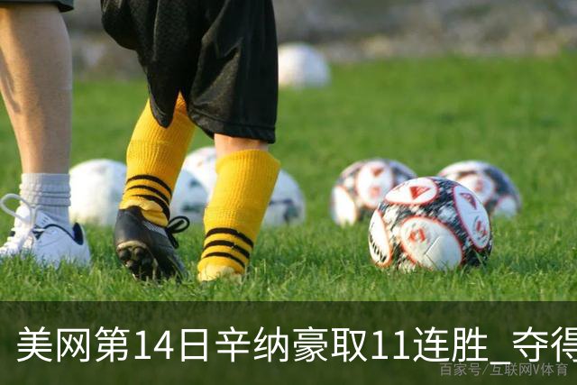 美网第14日辛纳豪取11连胜 夺得生涯大满贯第2冠